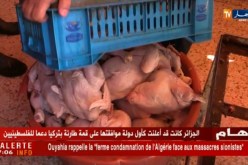 غليزان : مراقبة محلّات بيع اللحوم ..إجراءات مكثفة لمصالح التجارة