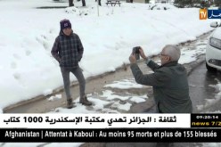 تلمسان/ بعد فتح المسالك.. جبل موطاس وجهة الكثرين للإستمتاع بالثلوج
