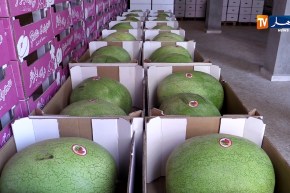 تمويل غير تقليدي.. تآكل إحتياطات الصرف.. سنة إقتصادية صعبة بامتياز