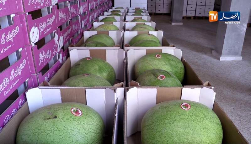 تمويل غير تقليدي.. تآكل إحتياطات الصرف.. سنة إقتصادية صعبة بامتياز