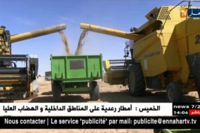 بسكرة: إنطلاق حملة الحصاد وسط توقعات بإنتاج مليون قنطار من القمح