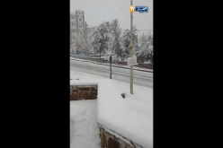 تواصل تساقط الثلوج بالمدية