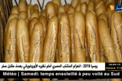 تجارة: نسبة الإستجابة لنظام المداومة بالعاصمة بلغت 99 بالمئة