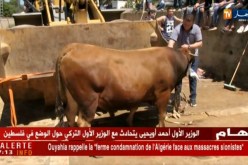 تيزي وزو: تمشرط..عادة تنفرد بها منطقة القبائل لإستقبال شهر رمضان