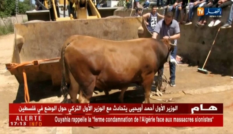 تيزي وزو: تمشرط..عادة تنفرد بها منطقة القبائل لإستقبال شهر رمضان