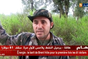 جيجل/ نفوق الأبقار…قناة النهار تتقصى الحقيقة !!