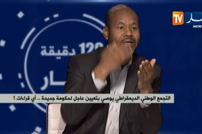 عبد الرحمان بن فرحات: “لا يمكن تفعيل المادة 102 بدون إصلاحات ..وعلى المجلس الدستوري تحمل مسؤوليته”