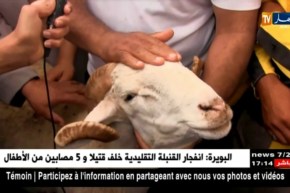 سعيدة: إستقرار في أسعار سوق الماشية عضية عيد الأَضحى