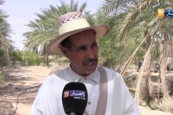 بسكرة/ الجفاف يقضي على المئات من أشجار النخيل