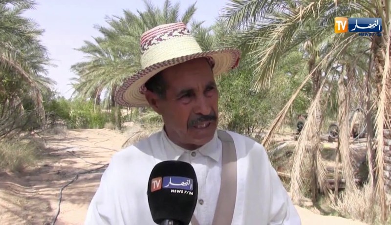 بسكرة/ الجفاف يقضي على المئات من أشجار النخيل