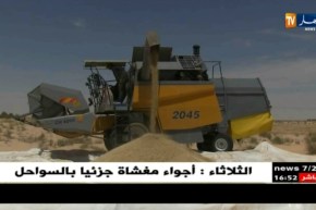 الديوان المهني للحبوب يسعى للتقليص من قاتورة إستيراد الحبوب