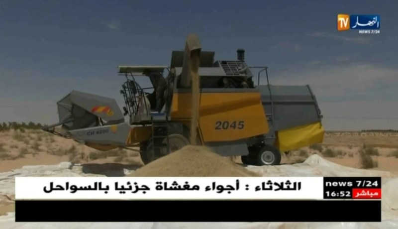 الديوان المهني للحبوب يسعى للتقليص من قاتورة إستيراد الحبوب