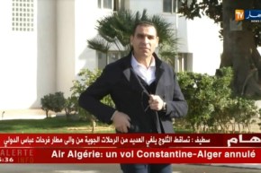 المديرية الفنية والتنظيم اللوجيستيكي للمنتخب يحفظان ماء وجه الفاف