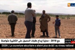 البيض : زراعة الذرة في مواجهة عراقيل عدة