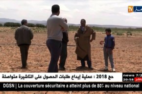 البيض : زراعة الذرة في مواجهة عراقيل عدة