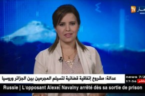 Asqamu unig n tutlayt n taεrabt yettwali d akken menyif ad tettwaru tmaziɣt  tfinaɣ