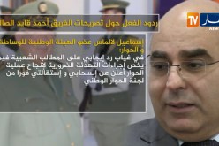 ردود الفعل حول تصريحات الفريق أحمد قايد صالح