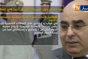 ردود الفعل حول تصريحات الفريق أحمد قايد صالح