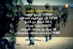 هذه هي أهم العمليات المتفرقة التي تمكن منها الجيش الوطني الشعبي خلال شهر جويلية