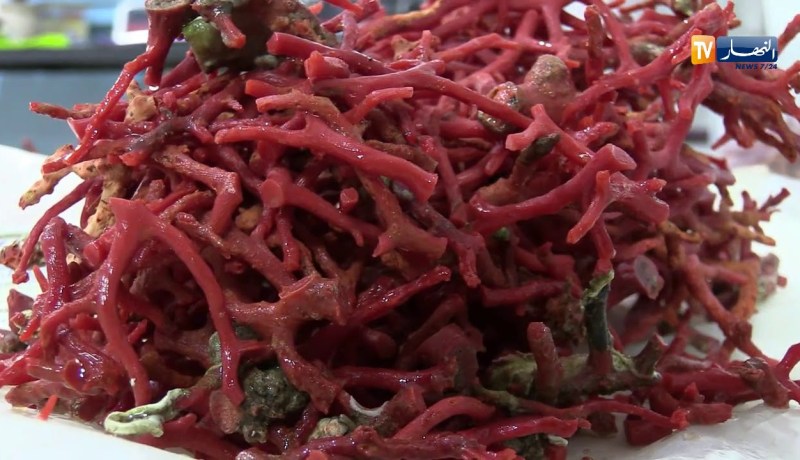 الطارف/ صناعة المرجان…ثروة مهددة بالإندثار