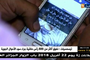 قهوة وجورنان: جورنان اليوم..المعلومات الشخصية للجزائريين..للبيع !؟