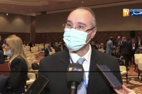 عمر ربراب: تم الموافقة مع وزارة الفلاحة لشراء كل الإنتاج الخاص بـ “السلجم الزيتي”