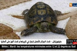 ‘قاديرو” السلحفاة البرية.. 49 سنة وسط أجواء عائلية طبيعية بجيجل