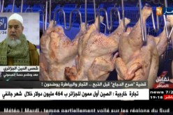 الشيخ شمس الدين: تعذيب الحيوان حرام وأكل لحمه حرام