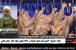 الشيخ شمس الدين: تعذيب الحيوان حرام وأكل لحمه حرام