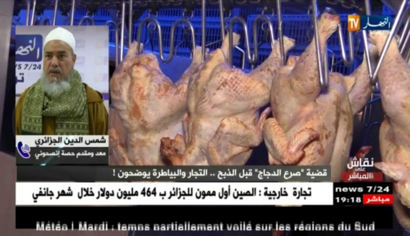 الشيخ شمس الدين: تعذيب الحيوان حرام وأكل لحمه حرام