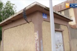 الشيخ النوي: مؤسسة تربوية  ببلعباس مهملة.. ما باعوها ما مدوها