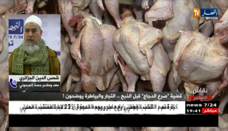 الشيخ شمس الدين: فتوى السعودية خلوها في السعودية.. الجزائر لديها علمائها