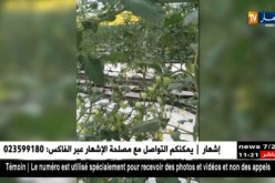 فلاحة/ منظمة الأغذية والزراعة تشيد بمؤسسة طهراوي