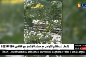 فلاحة/ منظمة الأغذية والزراعة تشيد بمؤسسة طهراوي