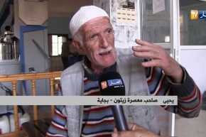 بجاية/ وفرة في منتوج الزيتون بأولى أيام موسم جنيه