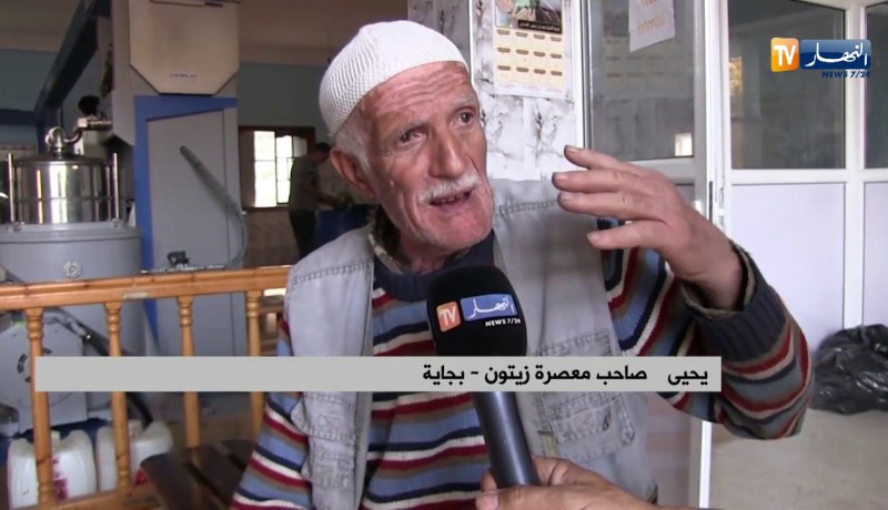 بجاية/ وفرة في منتوج الزيتون بأولى أيام موسم جنيه