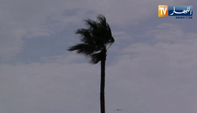أحوال الطقس / رياح قوية على الولايات الجنوبية .. التفاصيل