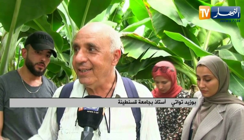 جيجل: زراعة الموز.. تجربة رائدة تتحول إلى مكان للبحوث العلمية
