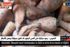 مصر: أسواق لبيع بقايا الطعام..موجات الفقر تزداد في البلاد