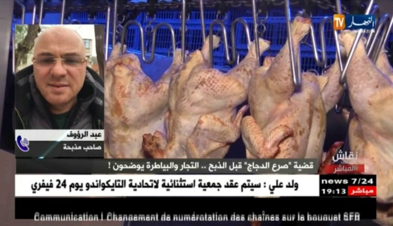 نقاش على المباشر: قضية “صرع الدجاج” قبل الذبح..التجار والبياطرة يوضحون