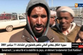 تيارت/ “دجاج العرب”…سلالة مهددة بالإنقراض