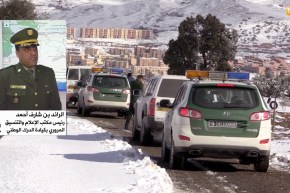 طقس: الثلوج تشل عدة طرقات وتلغي عدة رحلات جوية