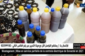 فن/ تحف فنية لدولة مالي تسحر زوار صالون الإبداع