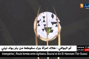 ثقافة: تونس الثورة في مصالحة مع الثقاقة والفن