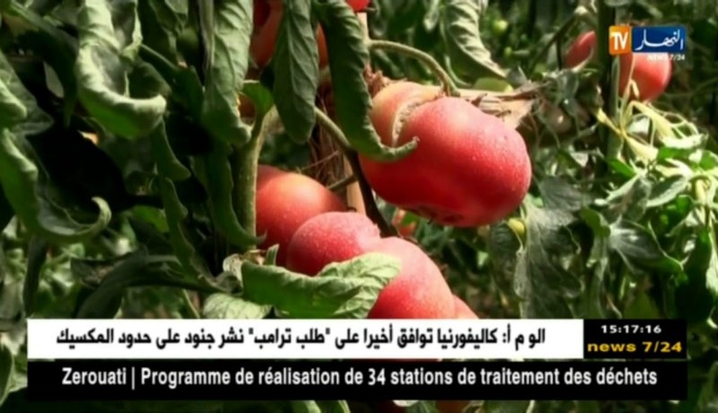 فلاحة: مزارع فلاحية تعيش على هاجس الجفاف ومنتوجها مهدد بالتلف