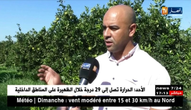 فلاحة: فلاحو شعبة الحمضيات يسجلون وفرة في الإنتاج مقابل غياب الدعم