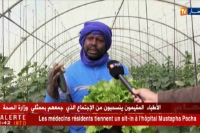 أدرار/ “منطقة أوقروت”…آفاق واعدة للزراعة في البيوت البلاستيكية