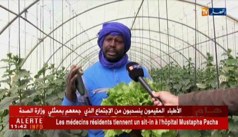 أدرار/ “منطقة أوقروت”…آفاق واعدة للزراعة في البيوت البلاستيكية