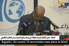 دبلوماسية: وزارة الخارجية تحيي اليوم العالمي “للعيش معا بسلام”