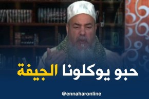 الشيخ شمس الدين/ “ديرونا علامة بلي مصروع..هكذا حنا ناكلو الحلال و نتوما كولو الحرام”